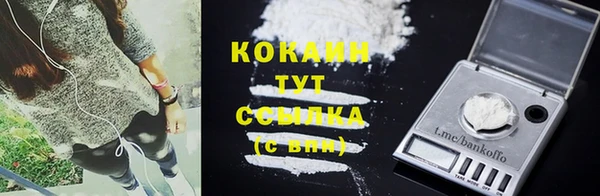 тгк Богородицк