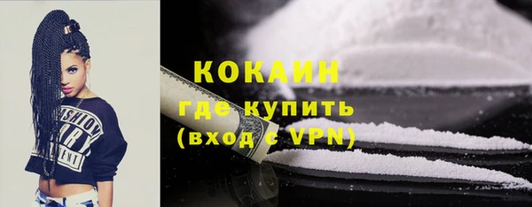 тгк Богородицк