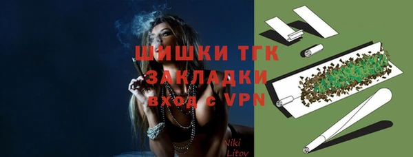 тгк Богородицк