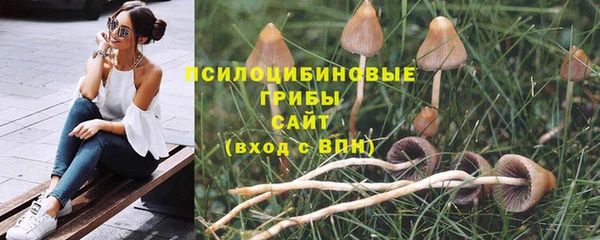 кокаин колумбия Богданович