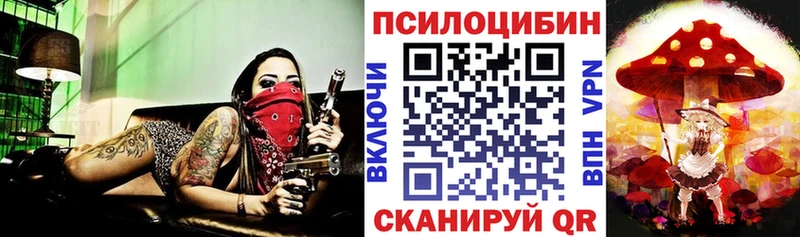 Псилоцибиновые грибы прущие грибы  где купить   Батайск 